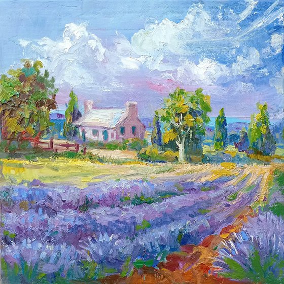 French Lavender Fields