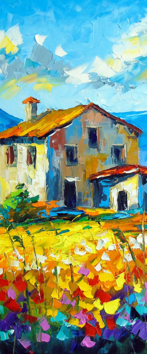 Rainbow Ranch by Olha Darchuk