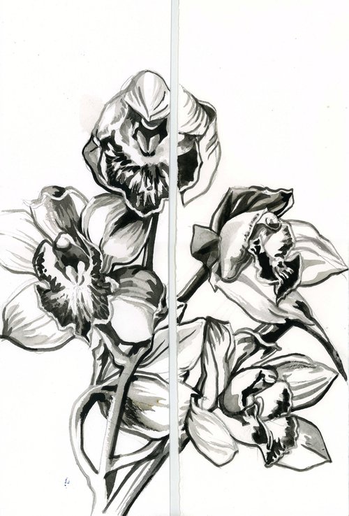 orchid brush drawing diptych by Alfred  Ng