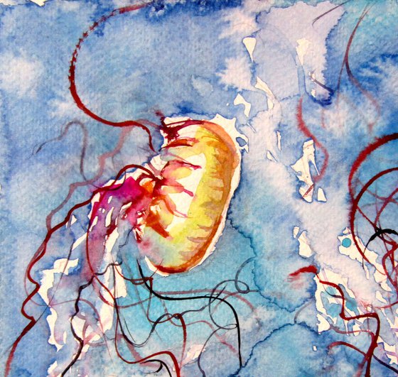 Jellyfish