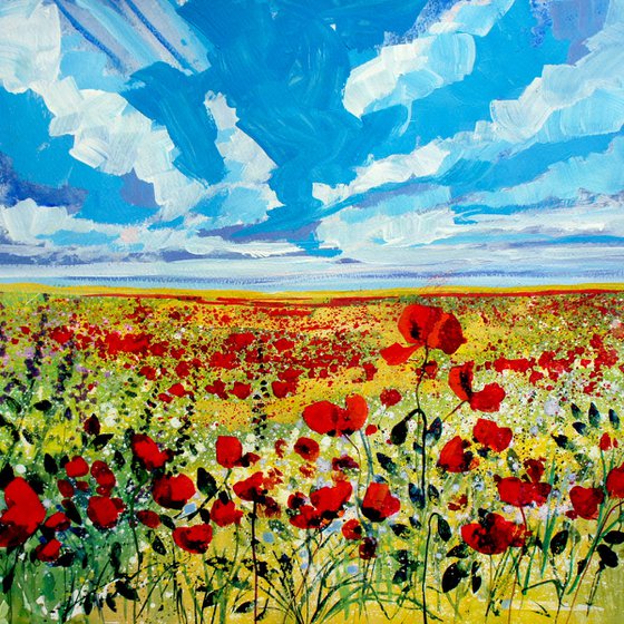 Poppy Field