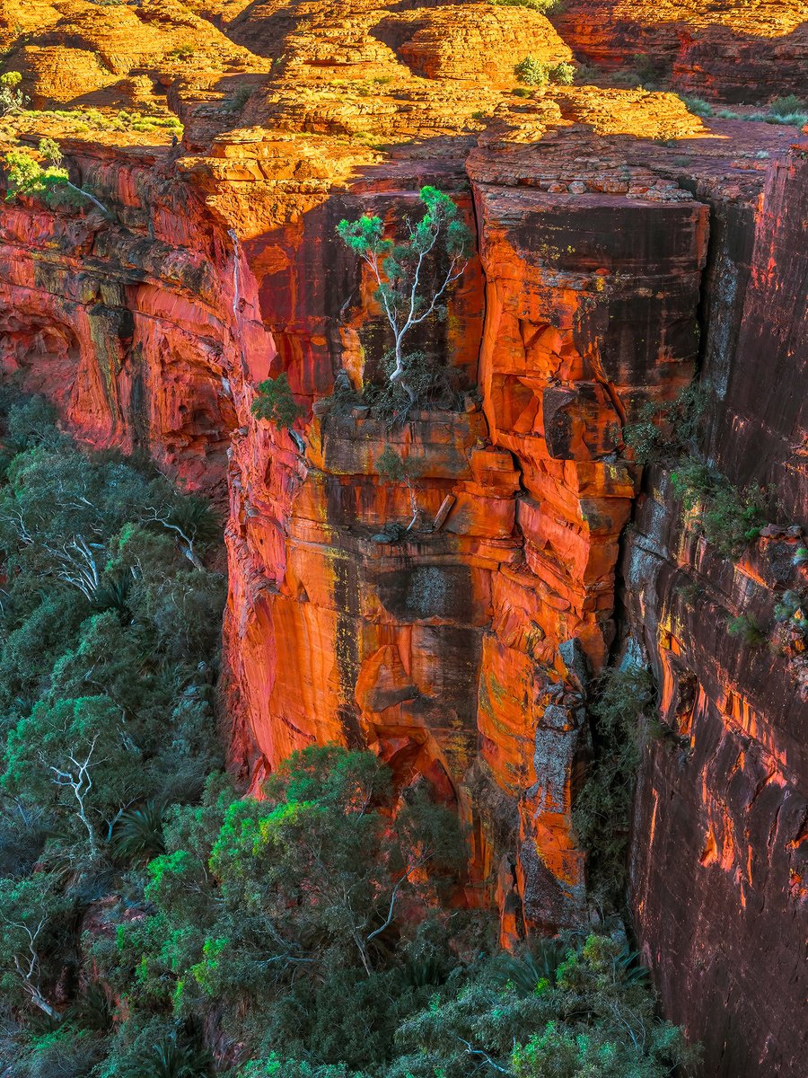 Photorealistic Landscape Photograph By Nick Psomiadis, 35 X 47", Rugged Beauty, Original Artwork