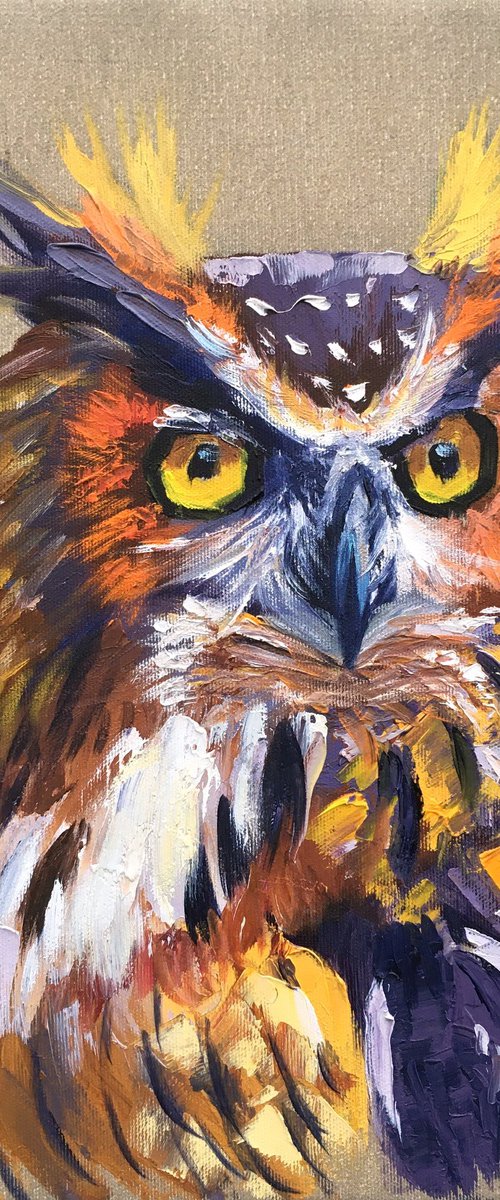 Owl by Elena Sokolova