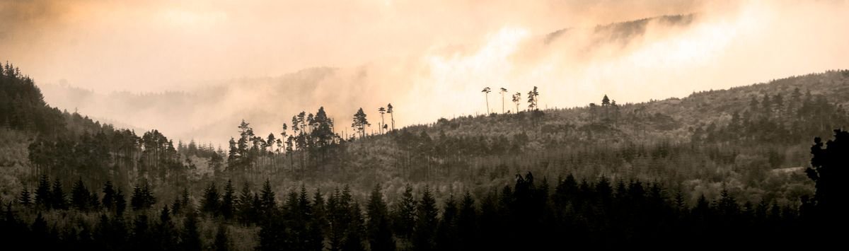 The Trossachs by Russ Witherington