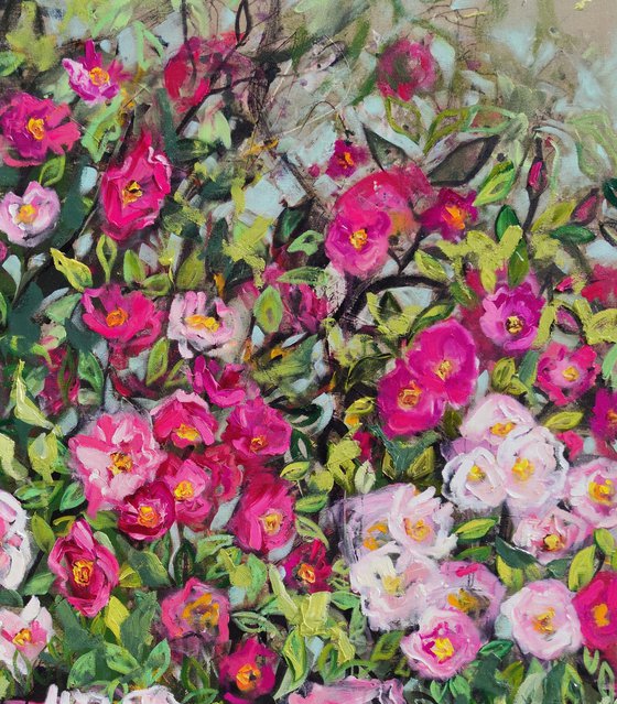 Briar Rose Bush