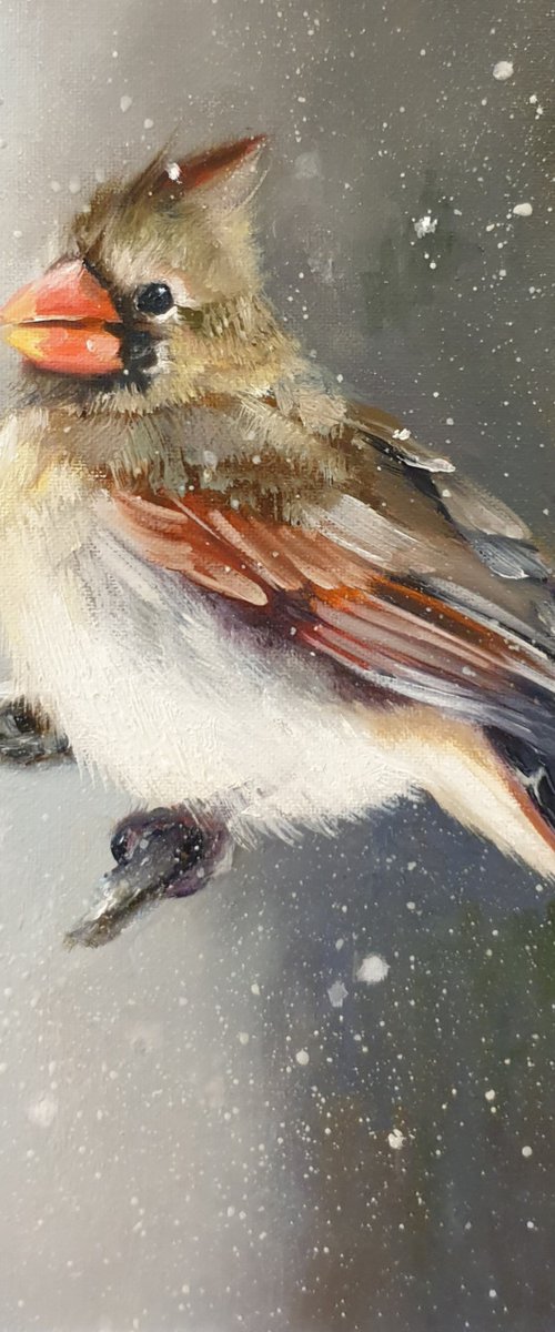 "Snow is falling.  " Cardinal of virgin   birds 2021 by Anna Bessonova (Kotelnik)