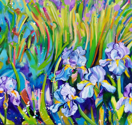 Iris Fields