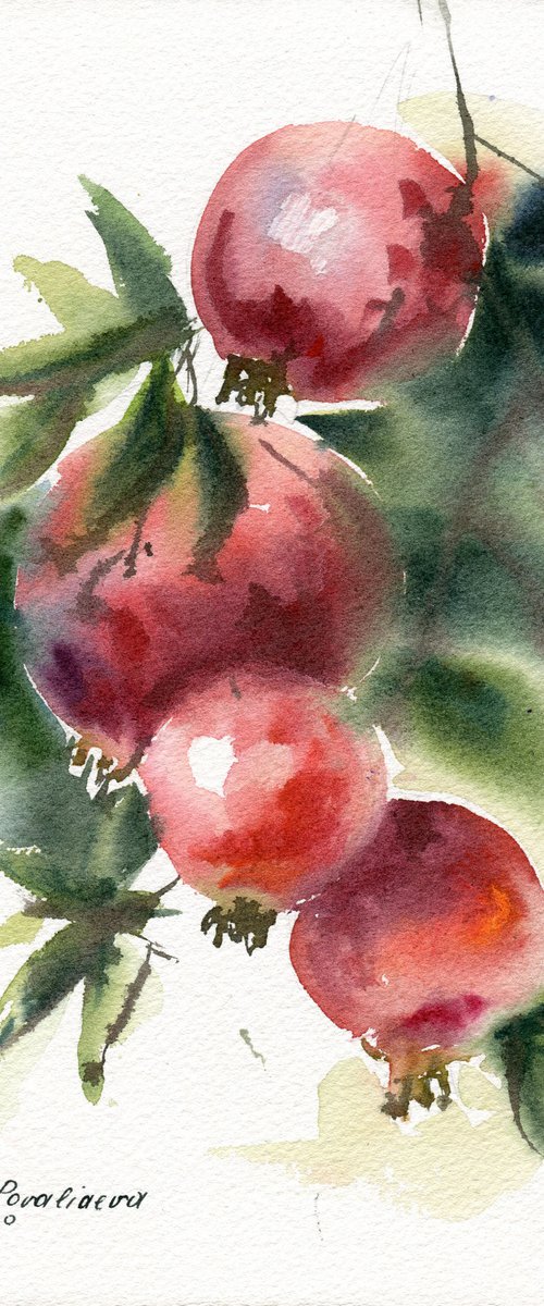 Pomegranates, 27,5x18,5 cm watercolor, red, still life, gift, small size by Irina Povaliaeva