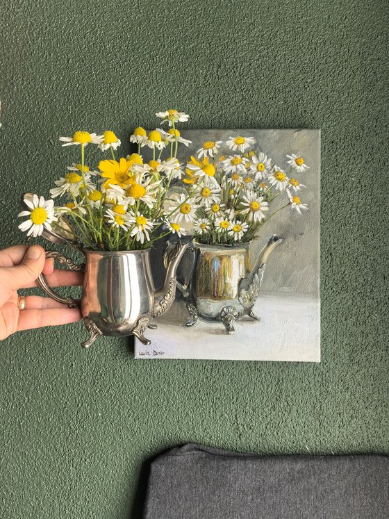 Chamomile wild flowers