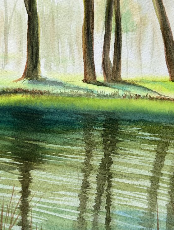 Green Reflections of Spring