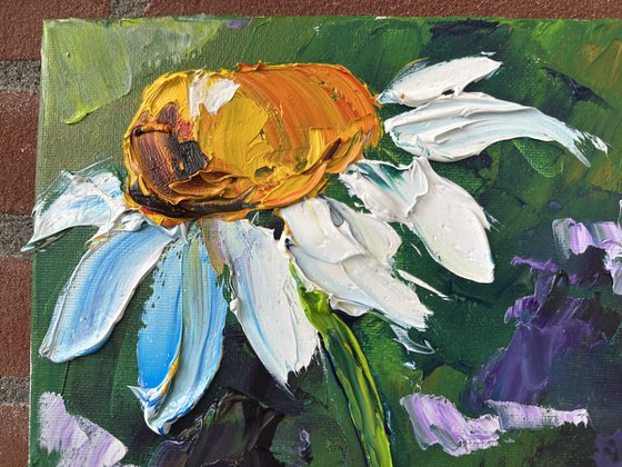 Two daisies