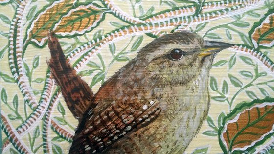 A Wren named Morris