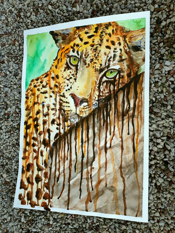 Leopard"
