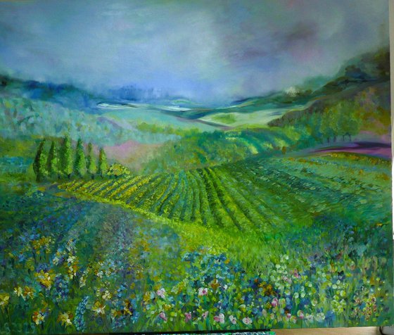 Lavender in Provence 2025