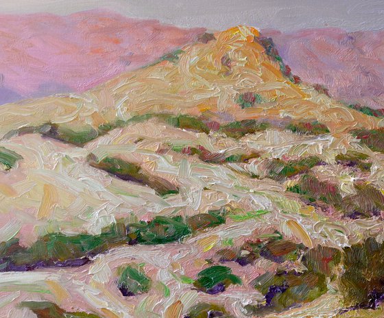 Summer Morning. California Mountains