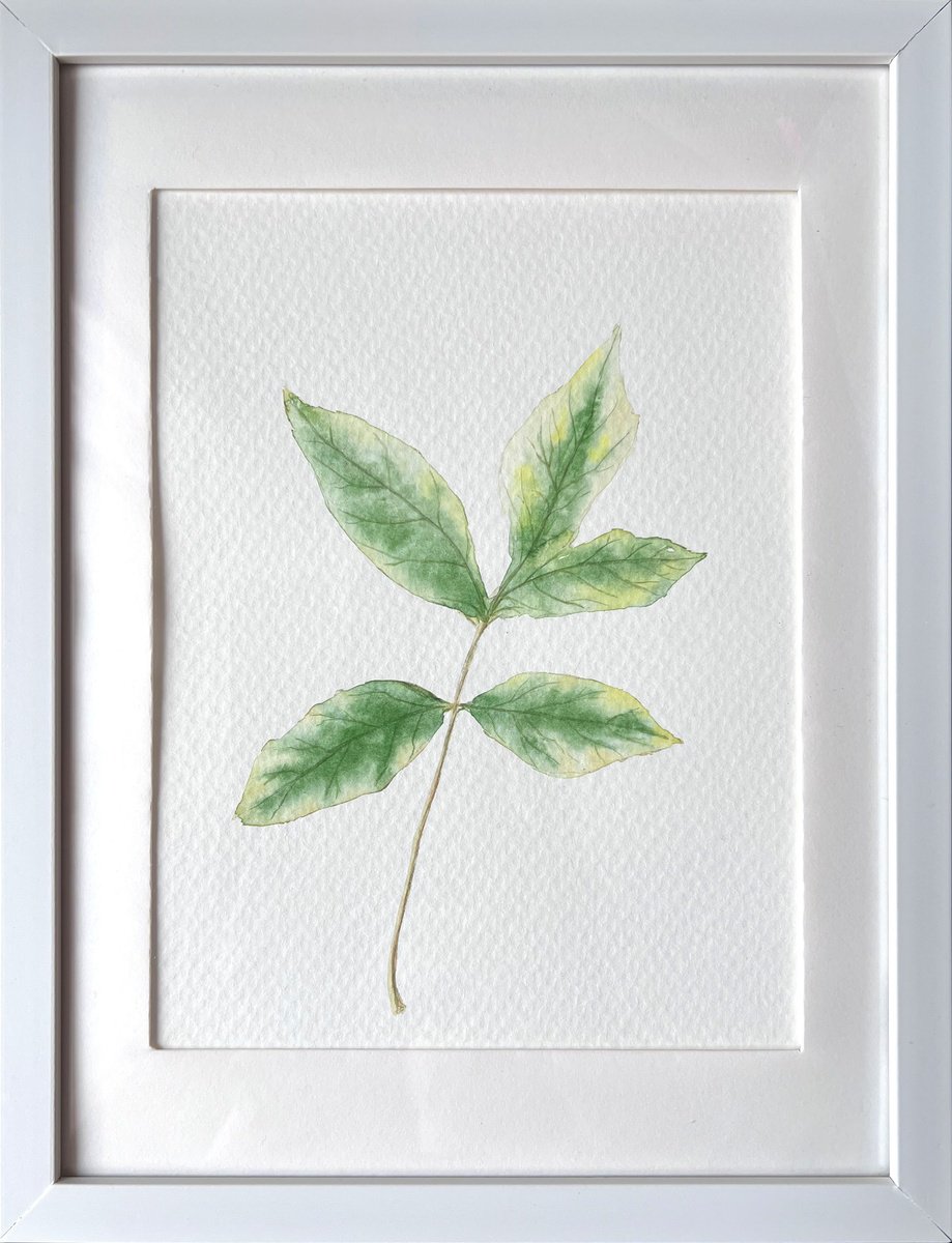 Graphic Botanical Watercolour By Tetiana Kovalova, 8 X 10", Autumn Leaf Sketch #1, Original Artwork
