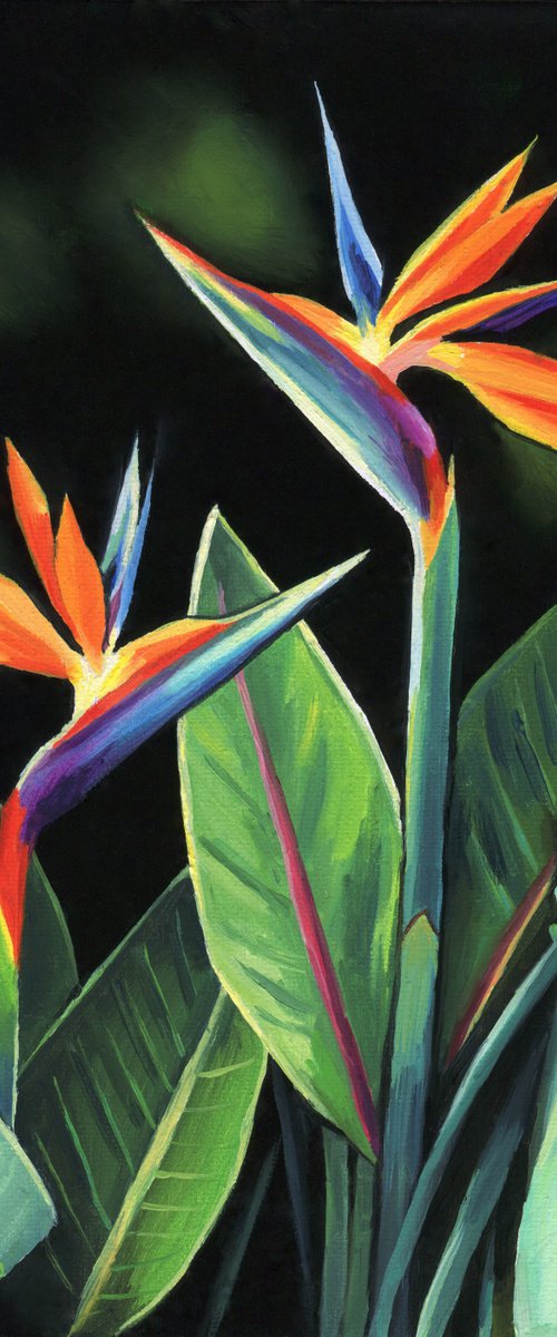 ‘Floral elegance’ by Lucia Verdejo