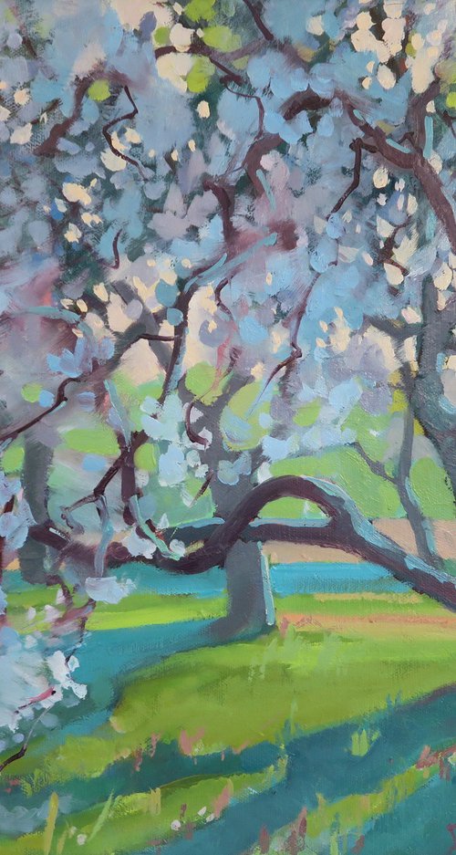 Apple Orchard in Bloom by Diana Davydova