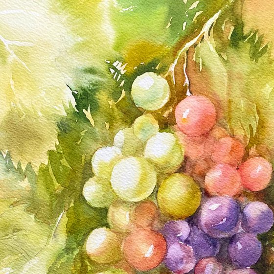 Bunch of Grapes