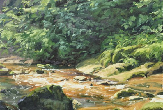 Morning Light On The Sumène