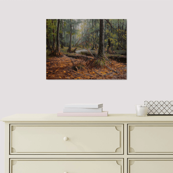 IN THE FOREST WILDERNESS