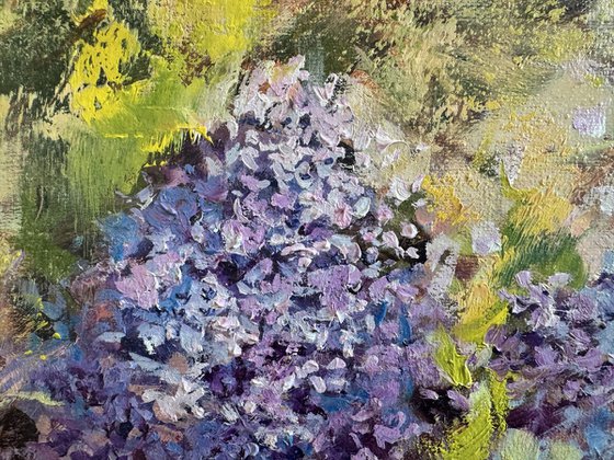 In the Spring Sunshine