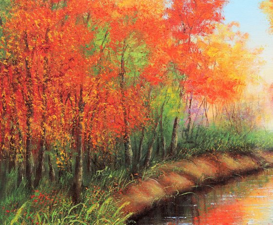 The colorful autumn