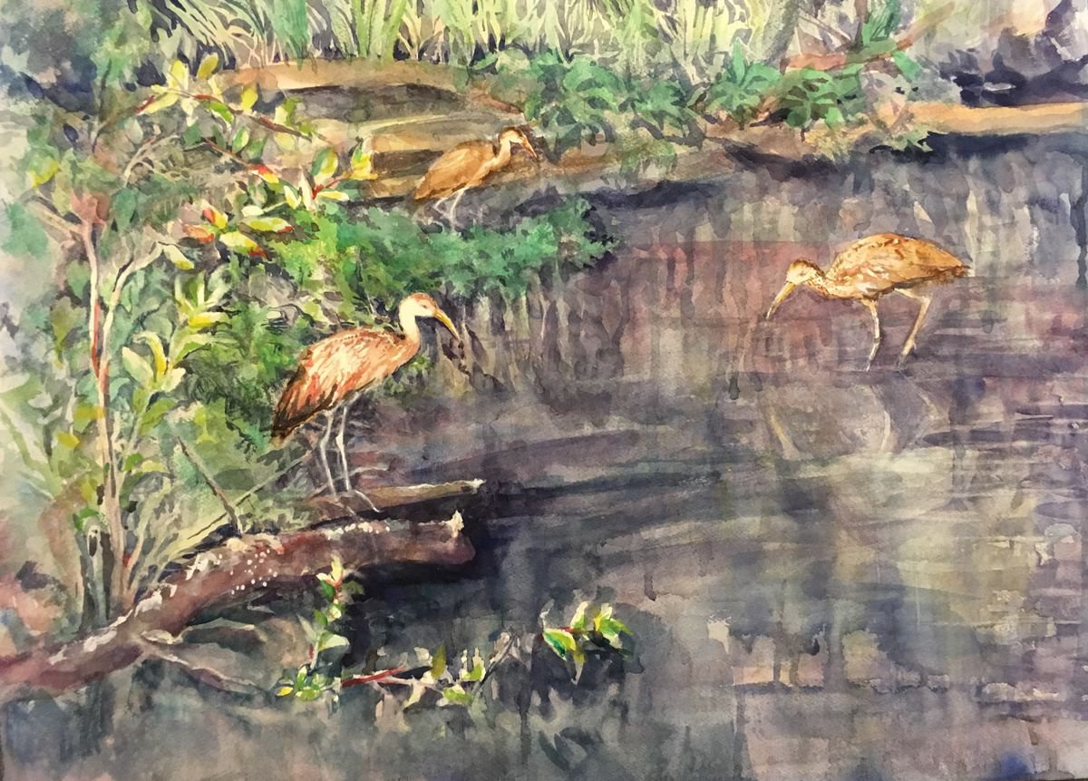 Limpkin World by Yoshiko Murdick