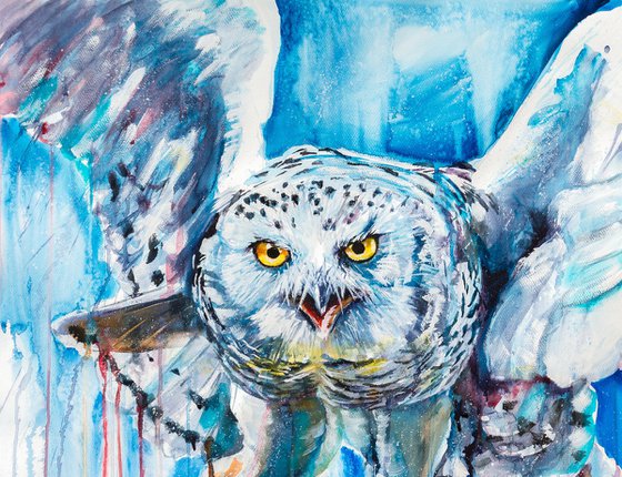 Snowy owl