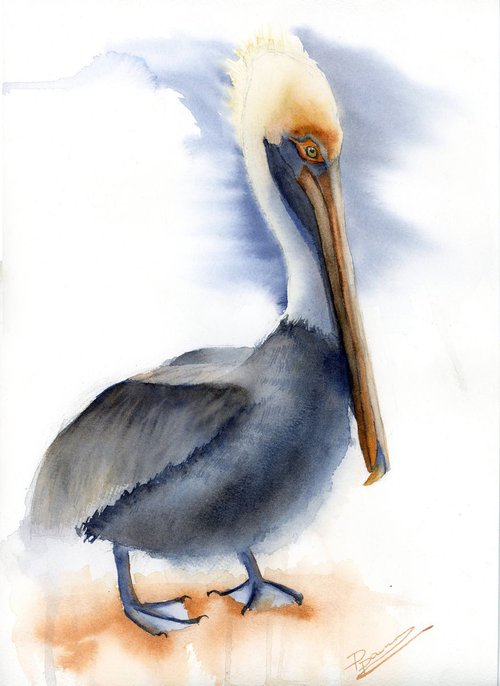 The Pelican by Olga Shefranov (Tchefranov)
