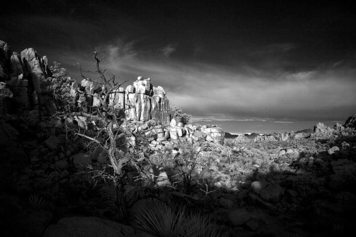 Mojave Morning by Mark Hannah