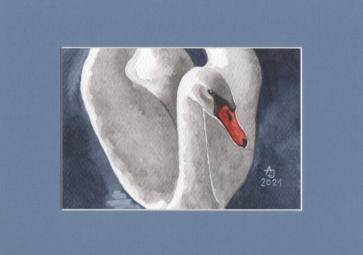 Fine pleasure - Swan 1 by Jolanta Czarnecka