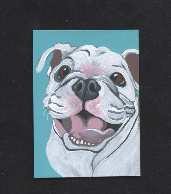 ACEO ATC Original Miniature Painting English Bulldog Pet Dog Art-Carla Smale