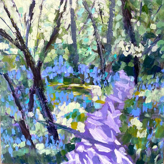 Dappled Light and Bluebells