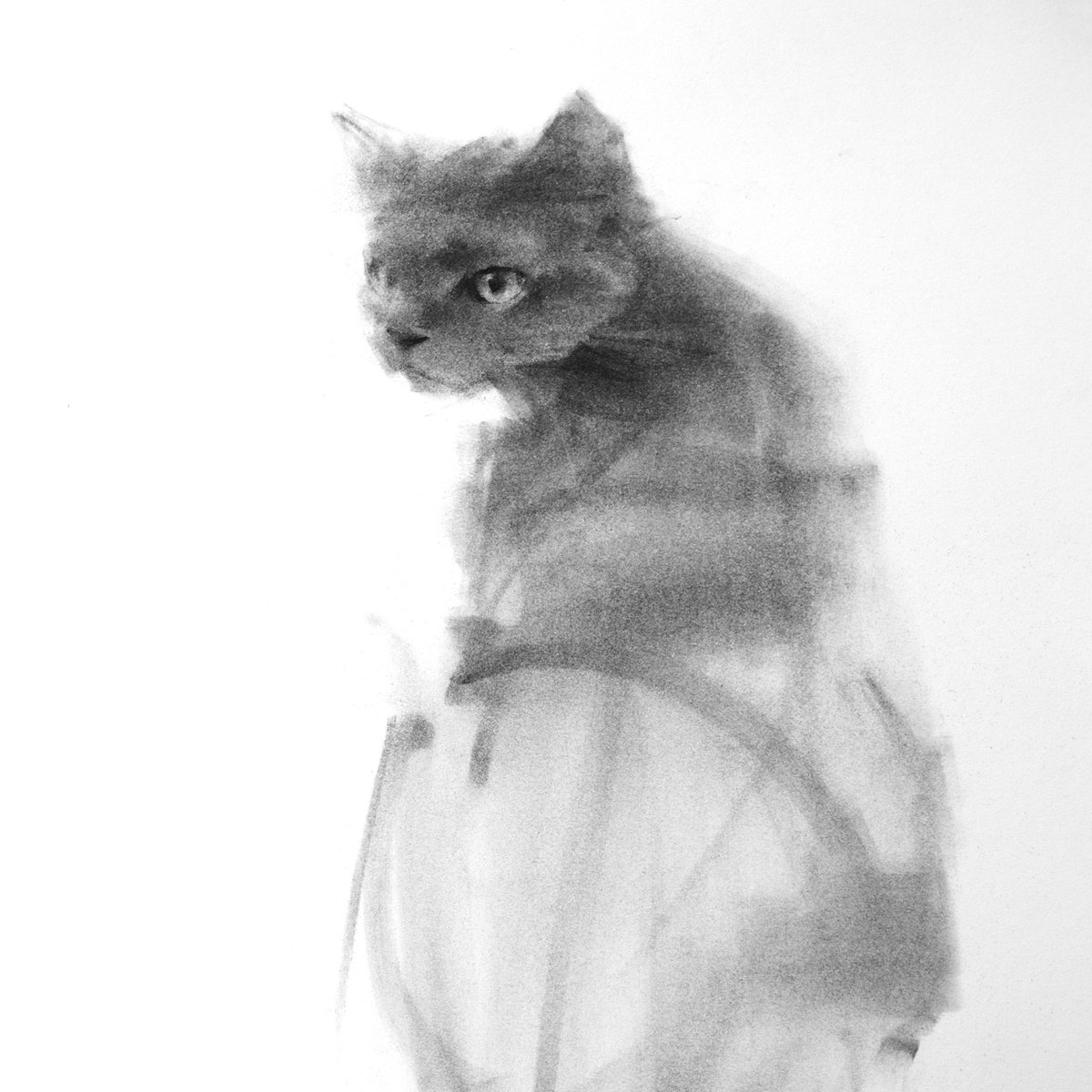 Cat XI by Tianyin Wang