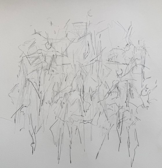Dancers (Study 1)