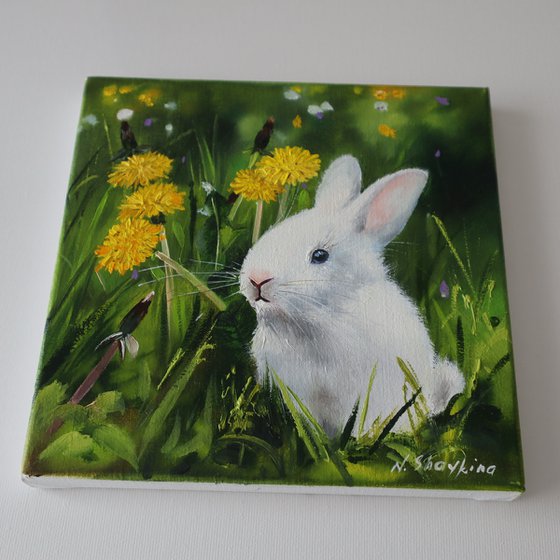 Bunny and Dandelions