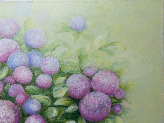The Hydrangea Galaxy