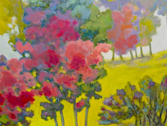 Spring in a Fall.