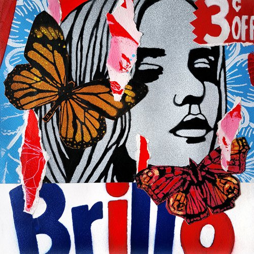 Torn Brillo by Copyright