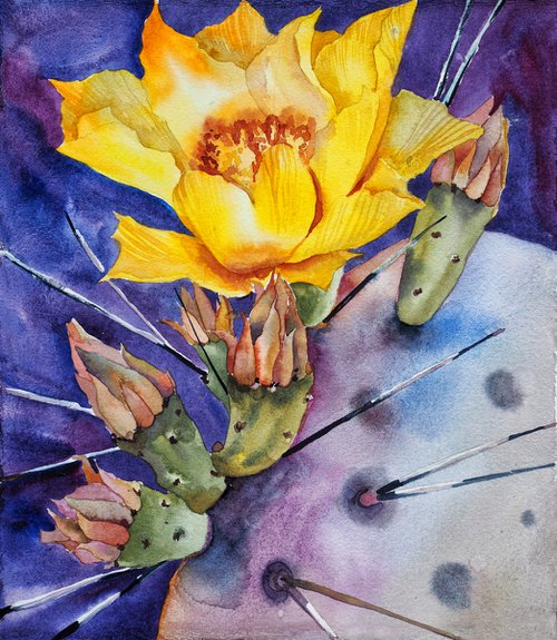 Cacti blossom - yellow flower on violet background, original watercolor by Delnara El