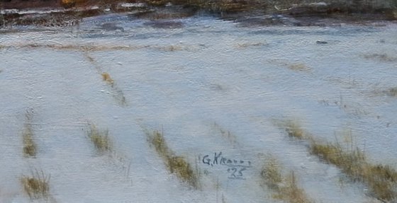 Winter landscape