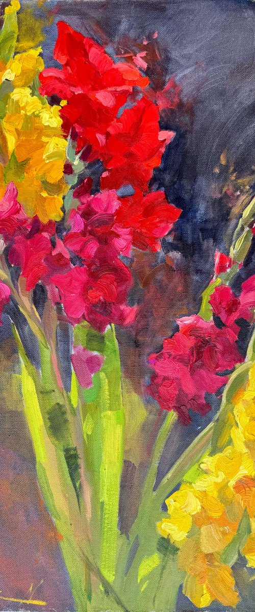 Vibrant Gladiolus Bloom by Nataliia Nosyk