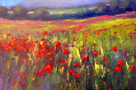 Landscape with poppy field