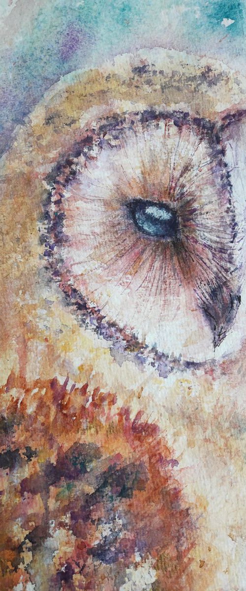Owl by Sveta Hubmann