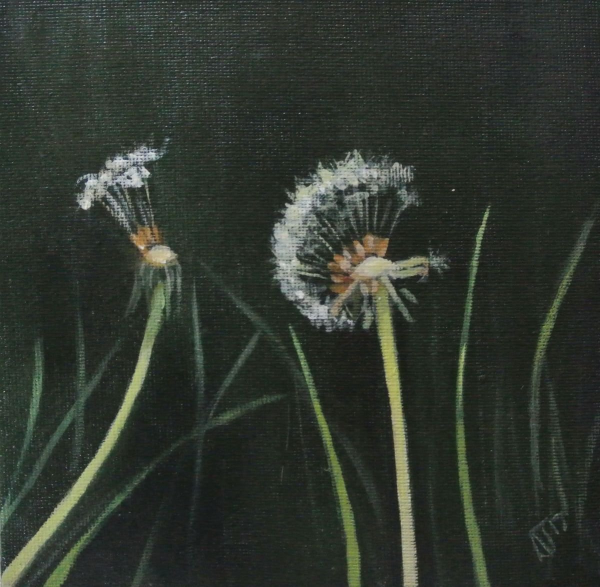 Dandelion Oil Painting 2, Framed by Alex Jabore Paintings and Prints