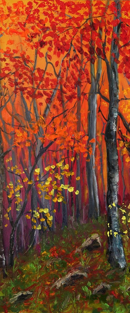 Autumn Blaze by Marion Derrett