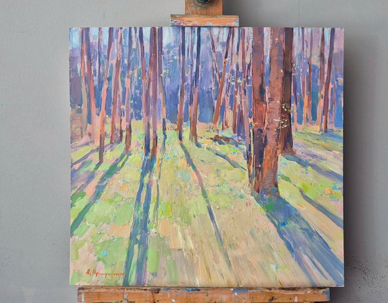 Spring in the Forest