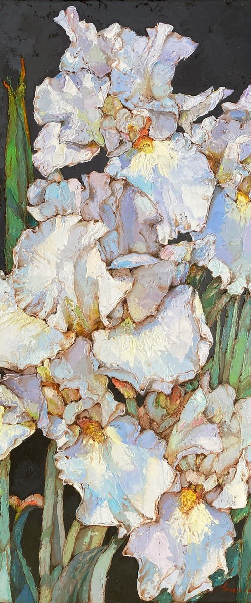 White irises. by Andriy Vutyanov
