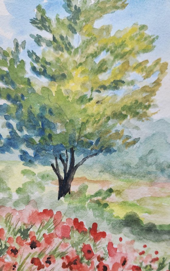 Where the Meadow Waits
